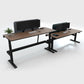 Ascend Sit Stand Electric Desk